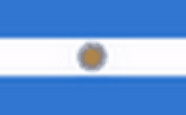 argentina Online phone number