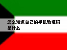 怎么知道自己的手机验证码是什么