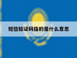 短信验证码指的是什么意思