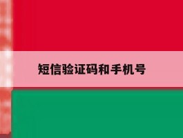 短信验证码和手机号