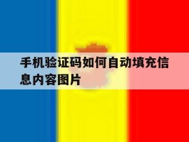 手机验证码如何自动填充信息内容图片