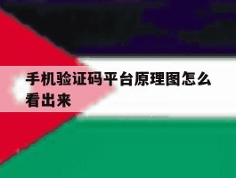 手机验证码平台原理图怎么看出来