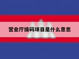 营业厅接码项目是什么意思