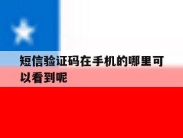 短信验证码在手机的哪里可以看到呢