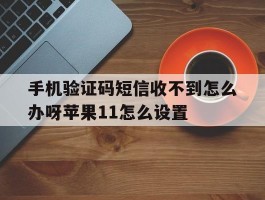手机验证码短信收不到怎么办呀苹果11怎么设置