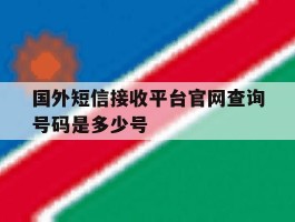 国外短信接收平台官网查询号码是多少号