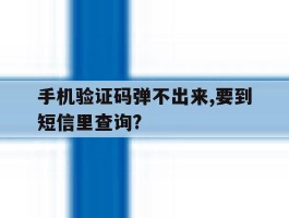 手机验证码弹不出来,要到短信里查询?