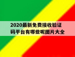2020最新免费接收验证码平台有哪些呢图片大全