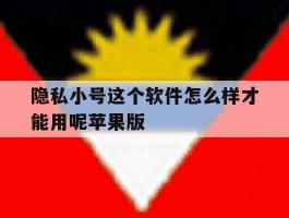 隐私小号这个软件怎么样才能用呢苹果版