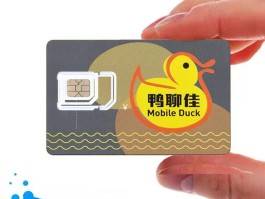 接码平台实体卡是真的吗