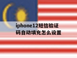iphone12短信验证码自动填充怎么设置