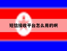 短信接收平台怎么用的啊