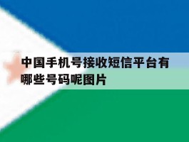 关于中国手机号接收短信平台有哪些号码呢图片的信息