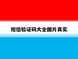 短信验证码大全图片真实