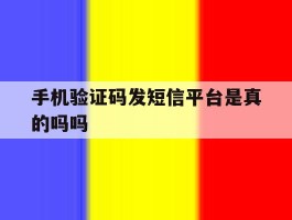 手机验证码发短信平台是真的吗吗