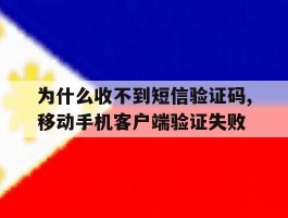 包含为什么收不到短信验证码,移动手机客户端验证失败的词条