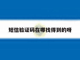 短信验证码在哪找得到的呀