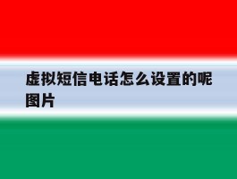 虚拟短信电话怎么设置的呢图片