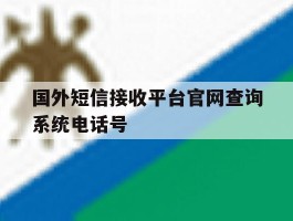 国外短信接收平台官网查询系统电话号