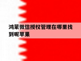 鸿蒙微信授权管理在哪里找到呢苹果
