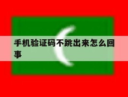 手机验证码不跳出来怎么回事