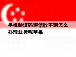 手机验证码短信收不到怎么办理业务呢苹果的简单介绍