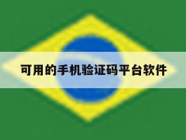可用的手机验证码平台软件