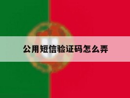 公用短信验证码怎么弄