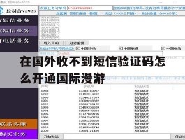 在国外收不到短信验证码怎么开通国际漫游