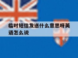 临时短信发送什么意思呀英语怎么说