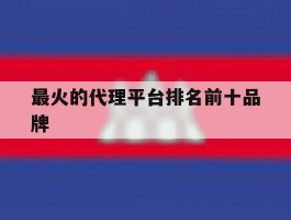 最火的代理平台排名前十品牌