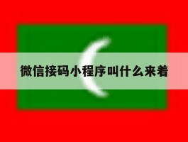 微信接码小程序叫什么来着