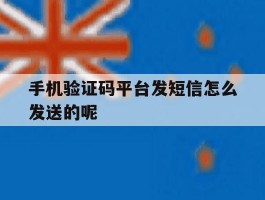 手机验证码平台发短信怎么发送的呢