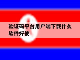 验证码平台用户端下载什么软件好使