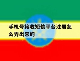 手机号接收短信平台注册怎么弄出来的