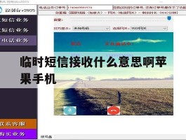 临时短信接收什么意思啊苹果手机