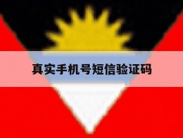 真实手机号短信验证码
