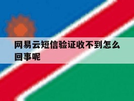 网易云短信验证收不到怎么回事呢