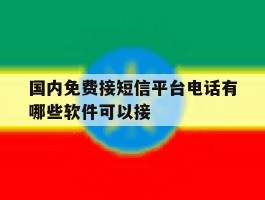 国内免费接短信平台电话有哪些软件可以接