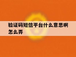 验证码短信平台什么意思啊怎么弄