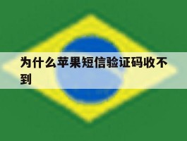 为什么苹果短信验证码收不到
