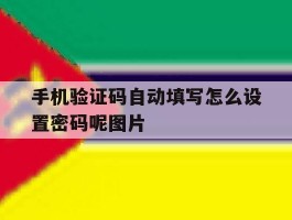 手机验证码自动填写怎么设置密码呢图片的简单介绍