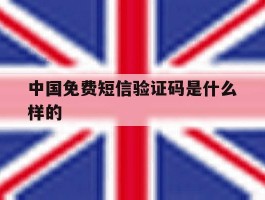 中国免费短信验证码是什么样的