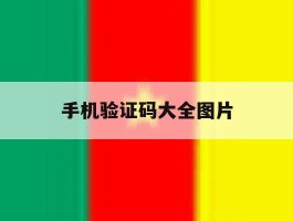 手机验证码大全图片