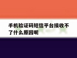 手机验证码短信平台接收不了什么原因呢