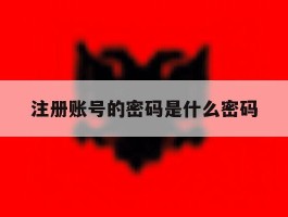 注册账号的密码是什么密码