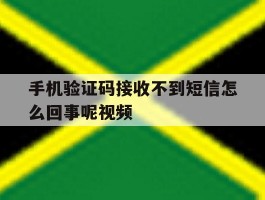 手机验证码接收不到短信怎么回事呢视频