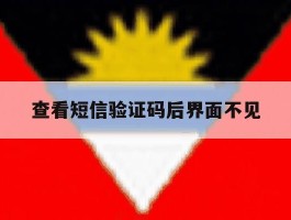 查看短信验证码后界面不见