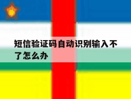 短信验证码自动识别输入不了怎么办