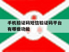 手机验证码短信验证码平台有哪些功能
